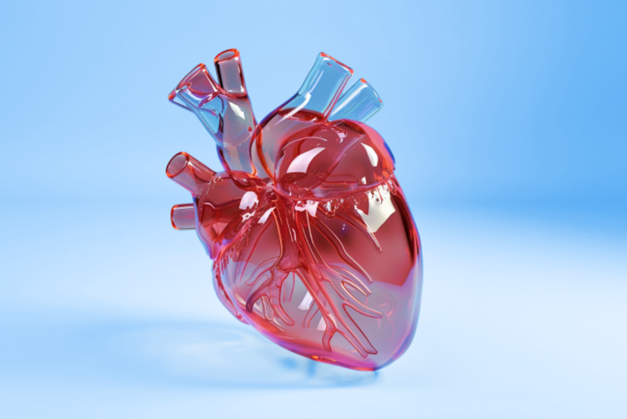 Чекап "Здоровое сердце МАКСИМУМ"