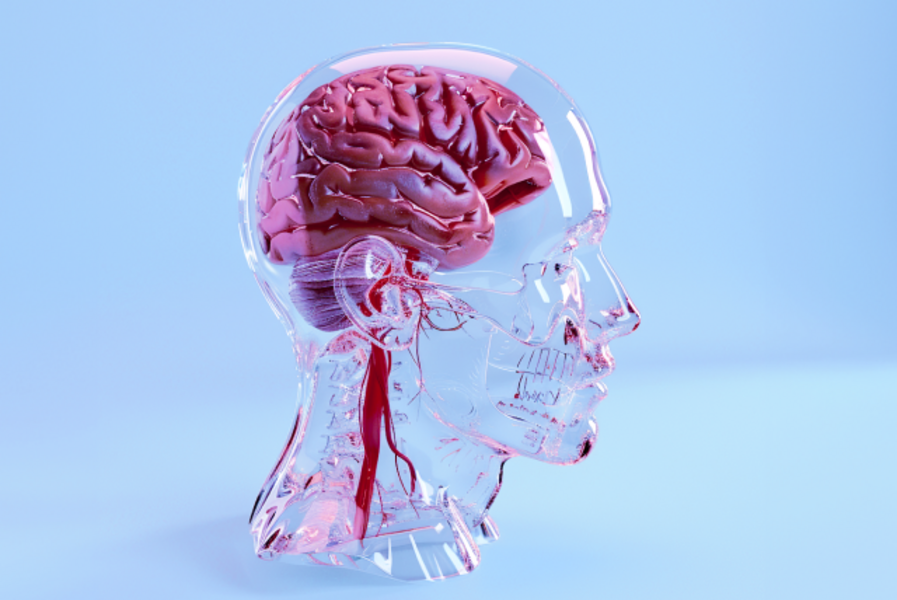 Комплекс УЗИ "Сосуды шеи и головы"